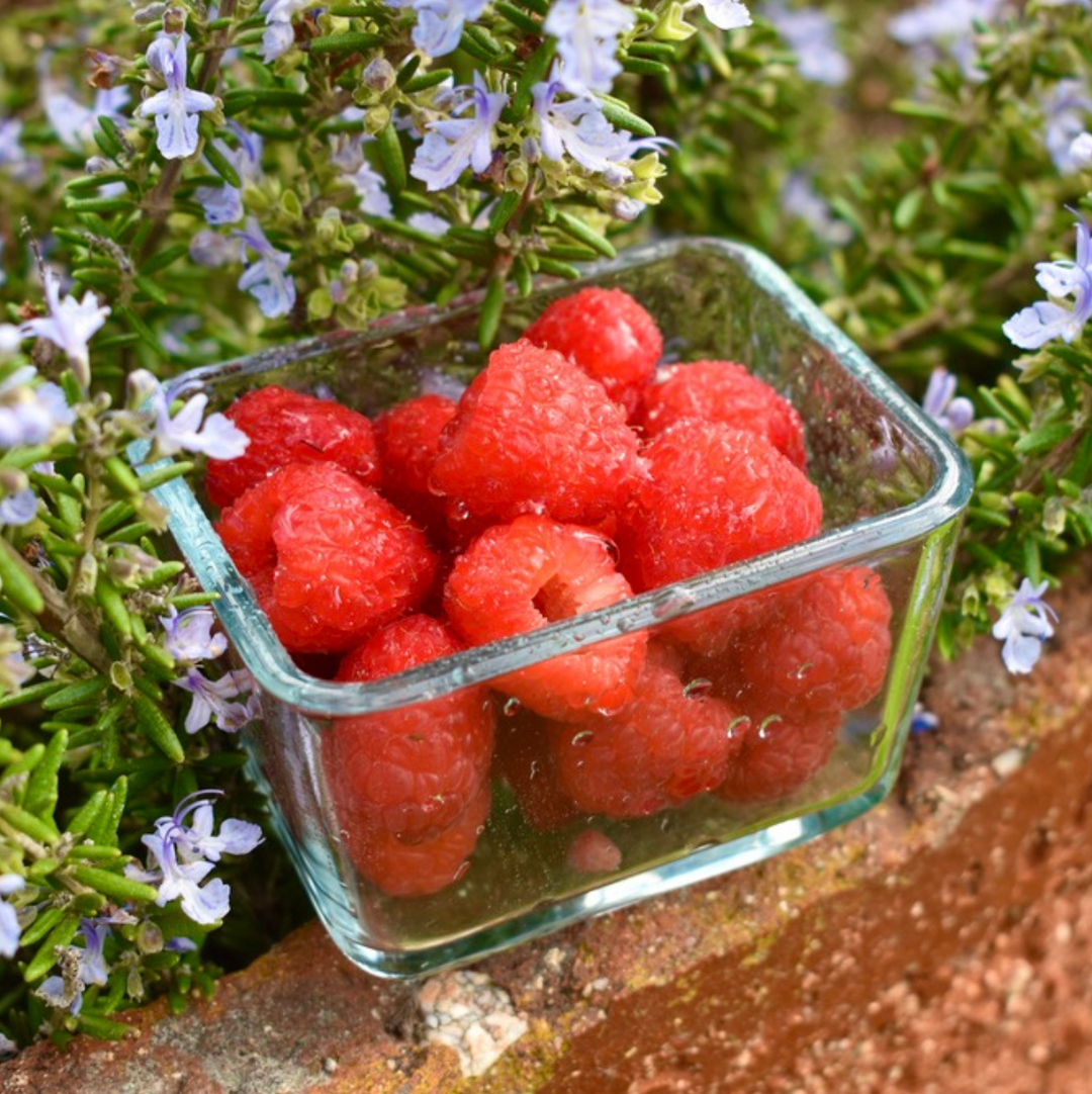 Zmeură fresh- 1kg Livrare acasă