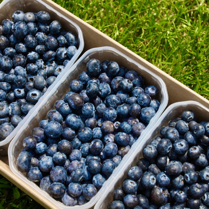 Afine Fresh Bio- 3 kg Livrare acasă
