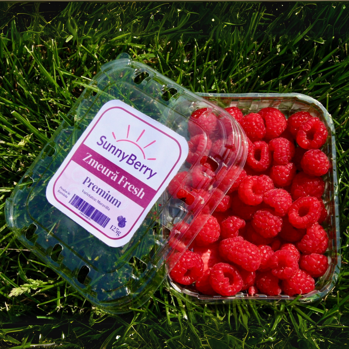 Zmeură fresh- 1kg Livrare acasă